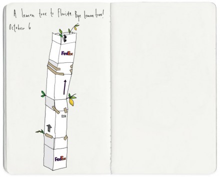 Julia-Zimmerman-Best-Part-Of-My-Day-2