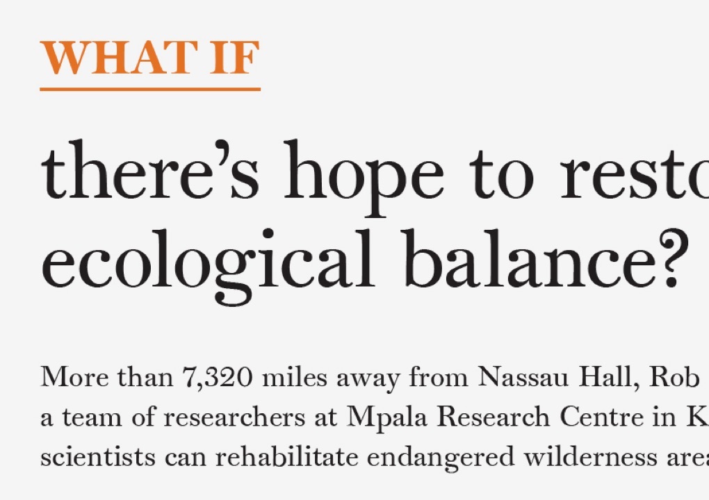 A close up detail photo of the design components from the brochure. The copy reads “What If” in orange text at the top. Partially visible in the frame is large black text asking a question with smaller black text answering the question below.