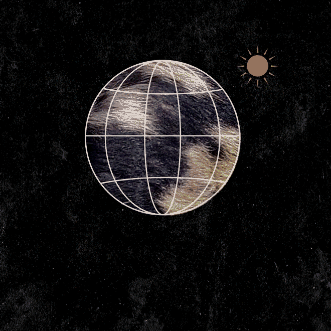 An line drawn globe turns into the image of pig on grass with the phrase "Fighting climate change one pig at a time" below.