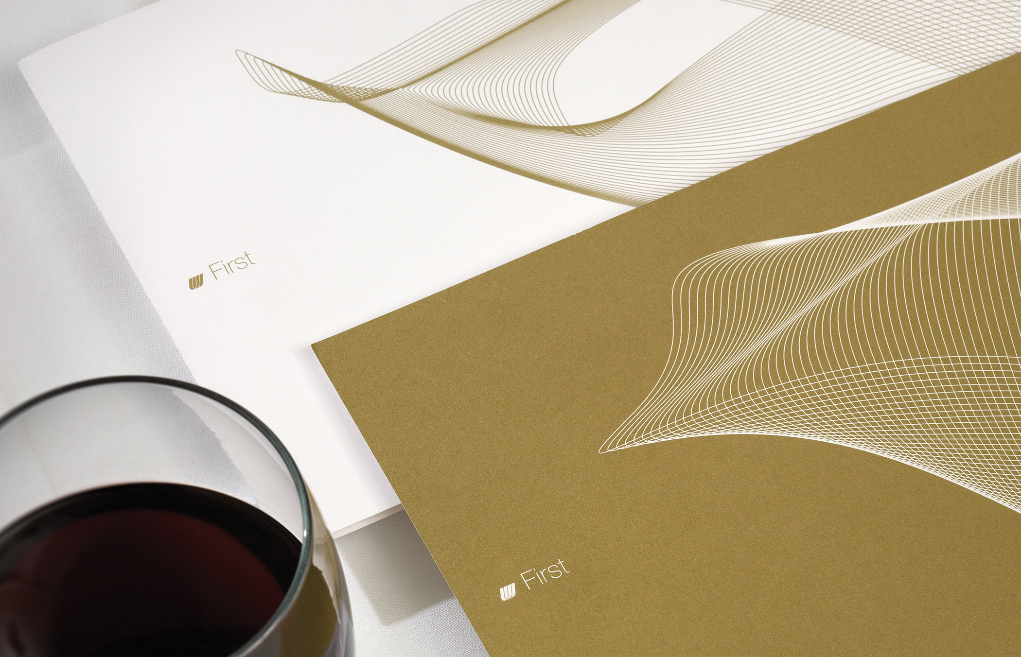 Illustrated covers of the United Airlines Sub-brands and Products brand manuals.