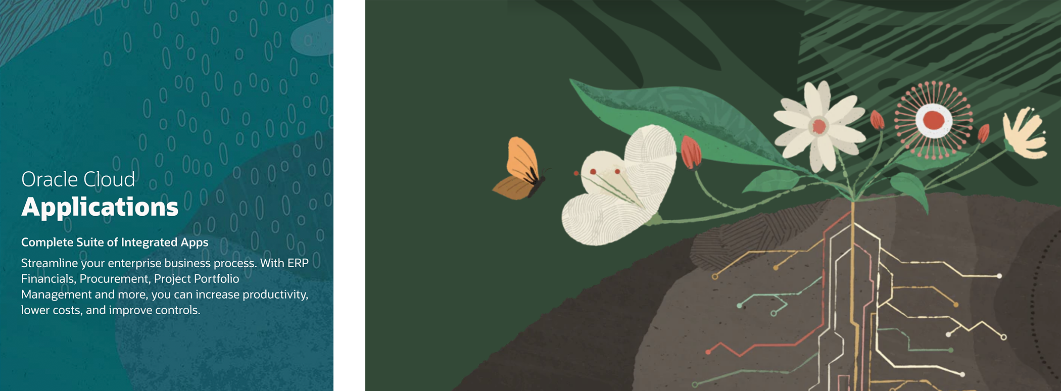 Illustrations of nature patterns and flowers