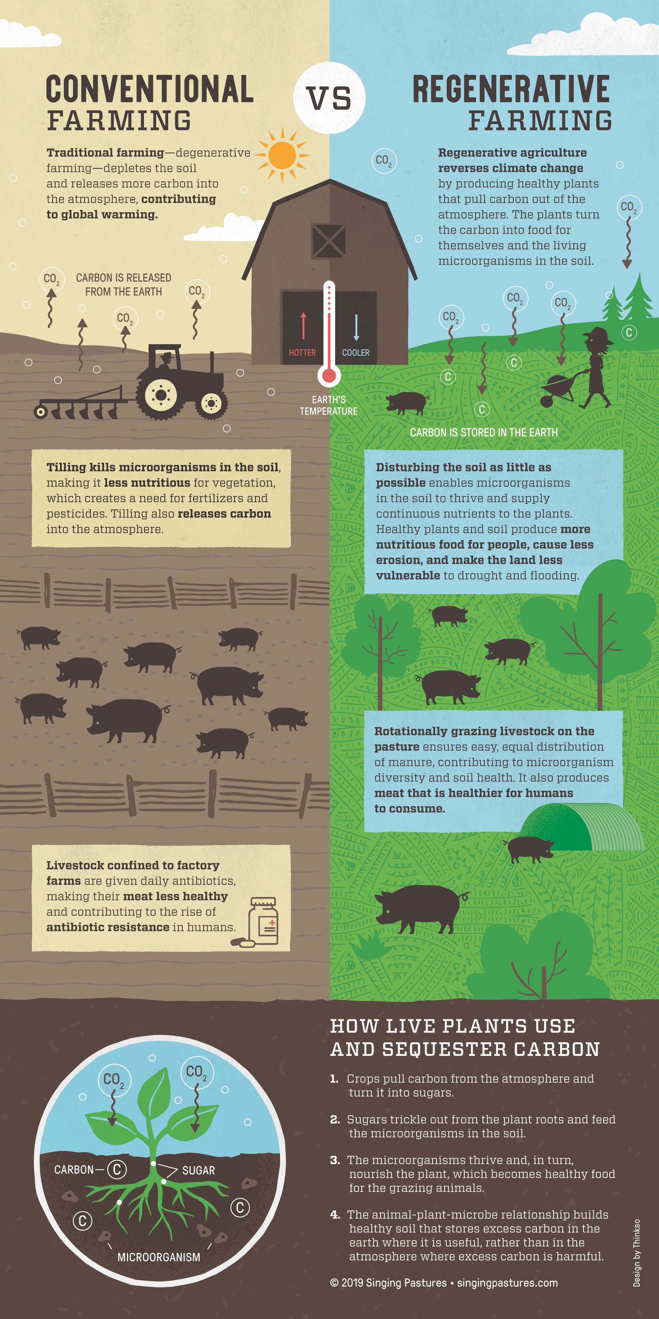An illustrated infographic comparing of Singing Pastures regenerative farming methods  to traditional farming methods.
