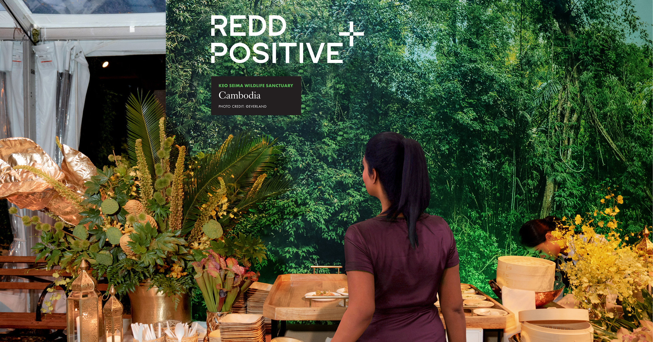 A REDD Positive Cocktails and Conservation launch event attendee in front of a food service table. A banner with the REDD Positive Log and Cambodian forest scene is behind the table.